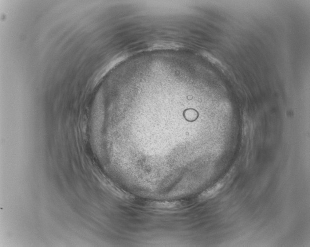 X0000057081401200510071833