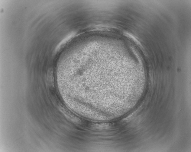 X0000057081403200510071833