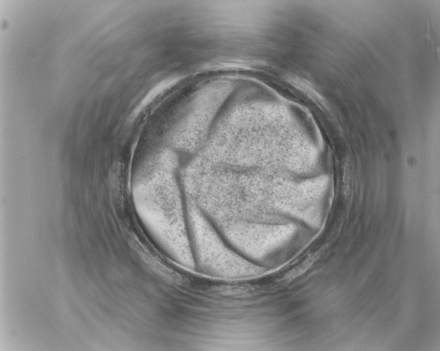 X0000057081404200510071833