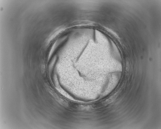 X0000057081407200510071833