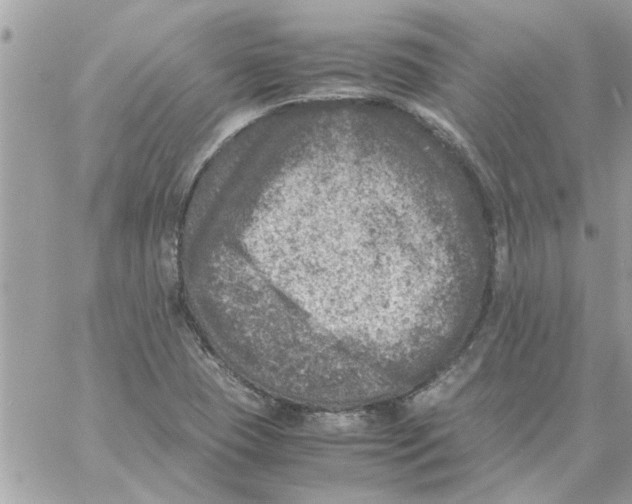 X0000057081409200510071833