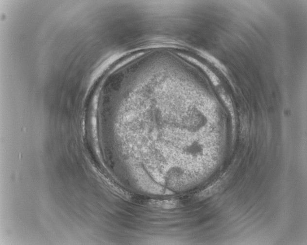 X0000057081415200510071833