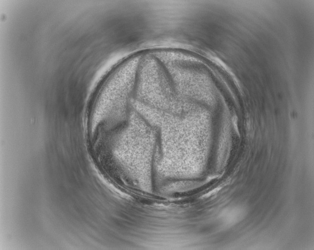 X0000057081416200510071833