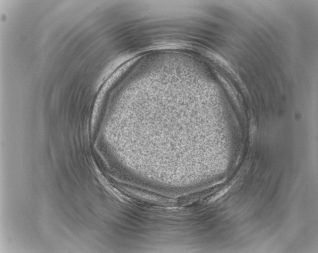 X0000057081417200510071833