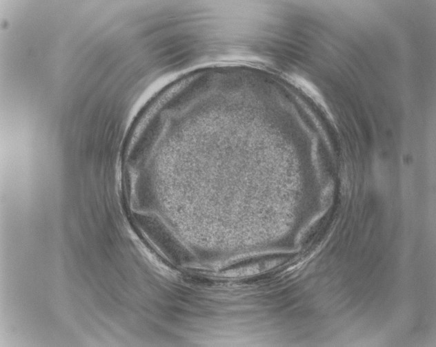 X0000057081420200510071833