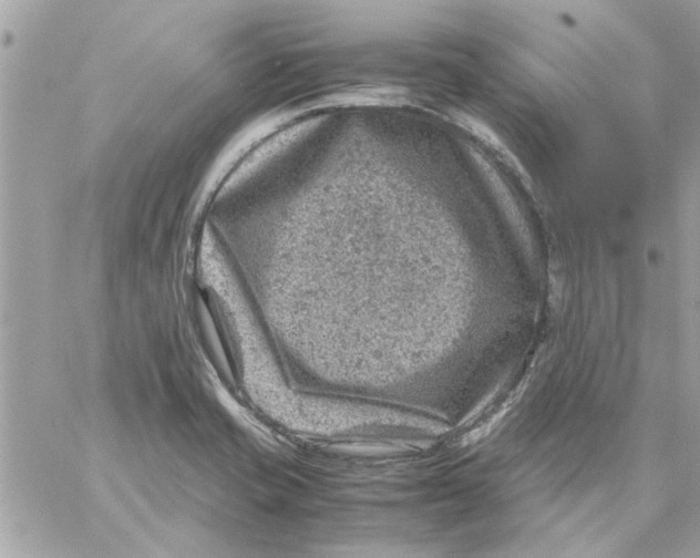 X0000057081421200510071833