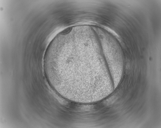 X0000057081423200510071833