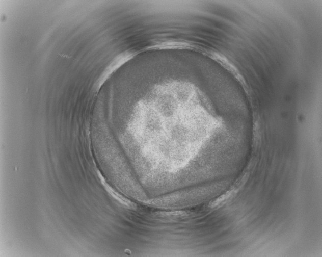 X0000057081425200510071834