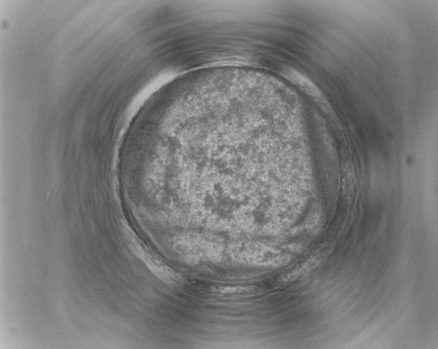 X0000057081427200510071834