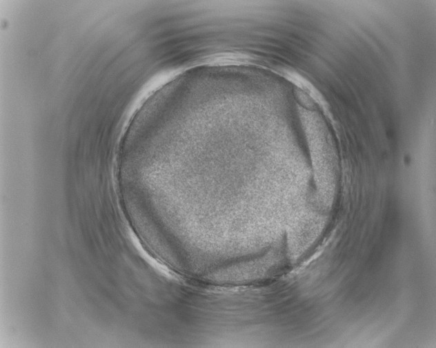 X0000057081429200510071834