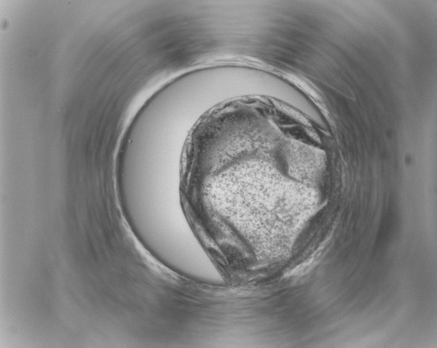 X0000057081430200510071834