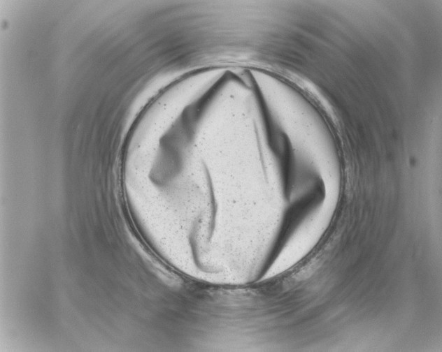 X0000057081432200510071834