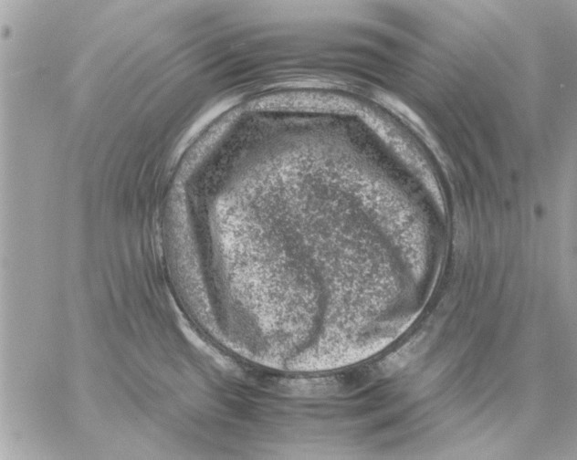 X0000057081433200510071834