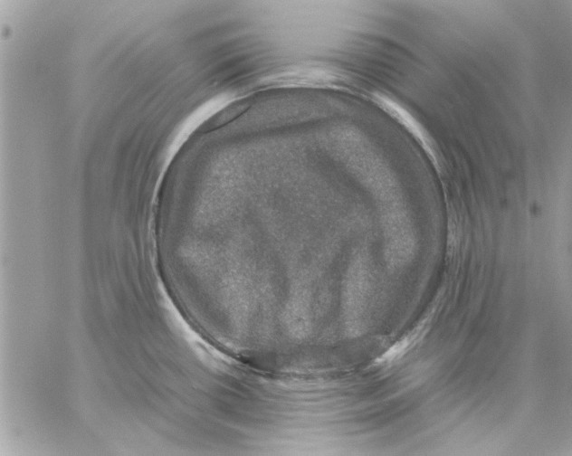 X0000057081434200510071834