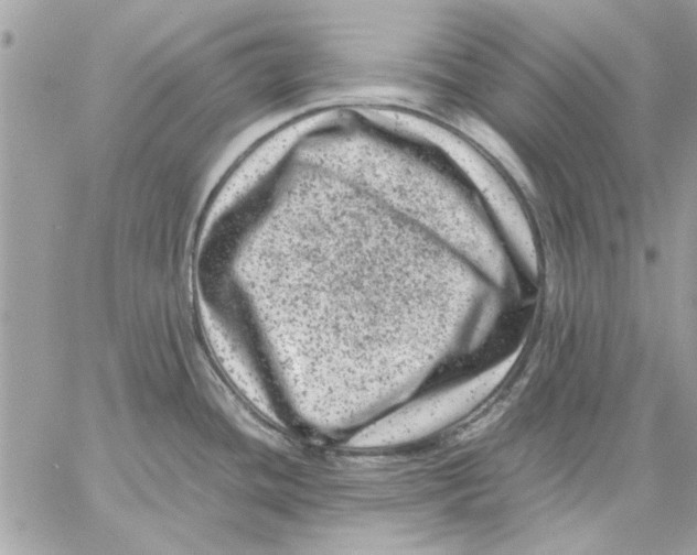 X0000057081436200510071834