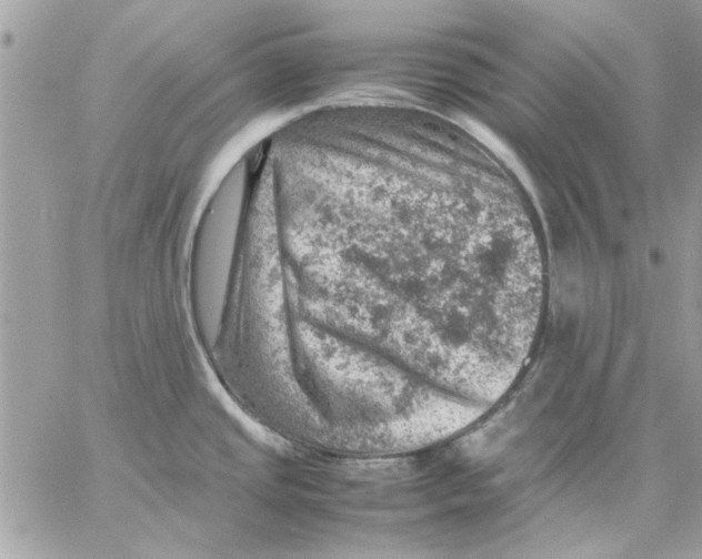 X0000057081437200510071834