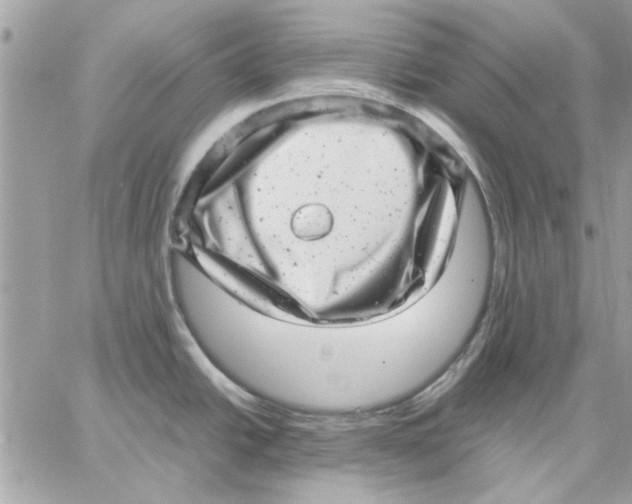 X0000057081438200510071834