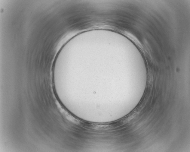 X0000057081439200510071834