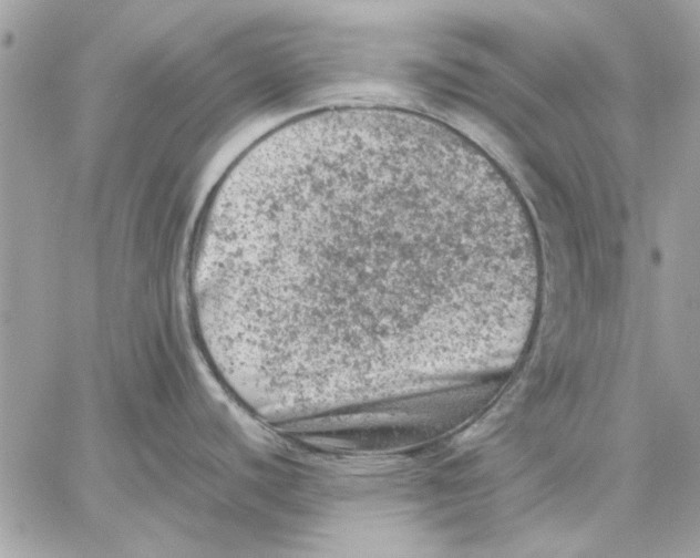 X0000057081440200510071834