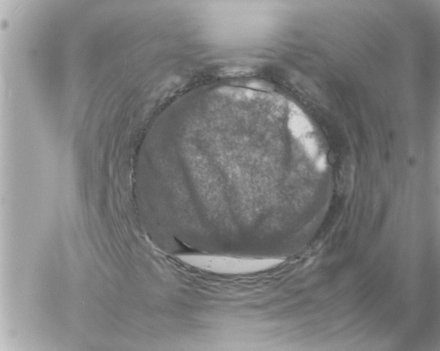 X0000057081441200510071833