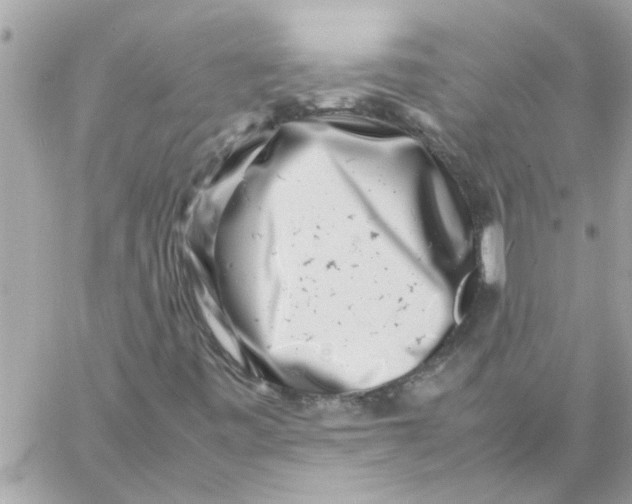 X0000057081443200510071833