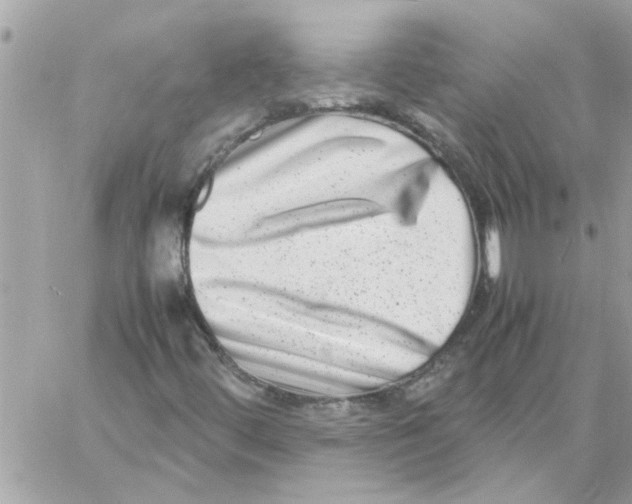 X0000057081444200510071833