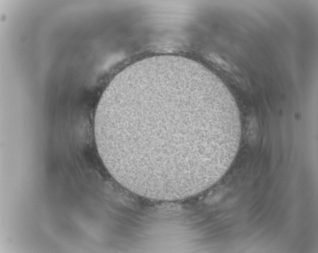 X0000057081446200510071833