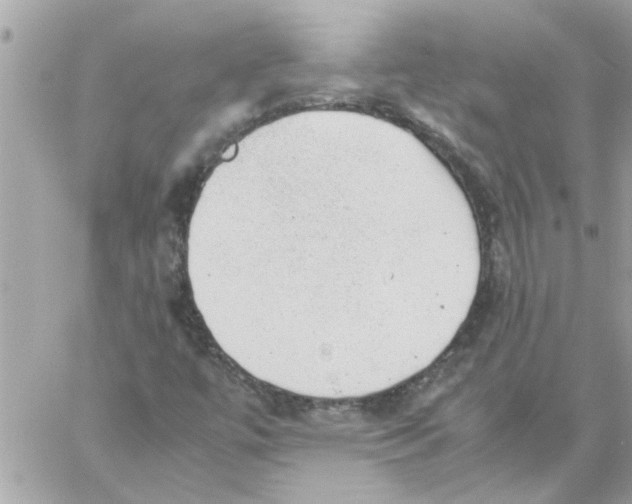 X0000057081447200510071833