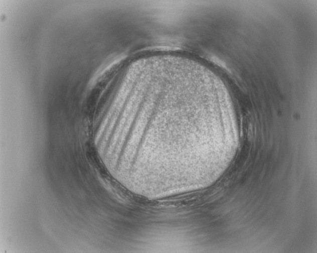 X0000057081448200510071833