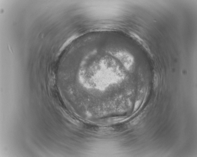 X0000057081449200510071833