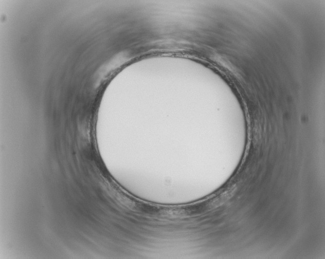 X0000057081451200510071833