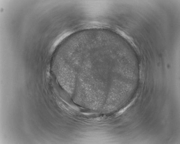 X0000057081453200510071833