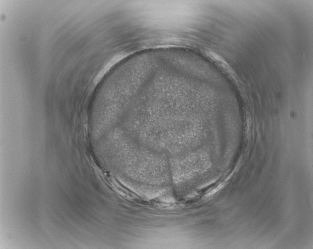 X0000057081457200510071833