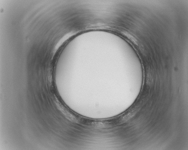 X0000057081458200510071833