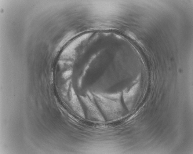 X0000057081459200510071833