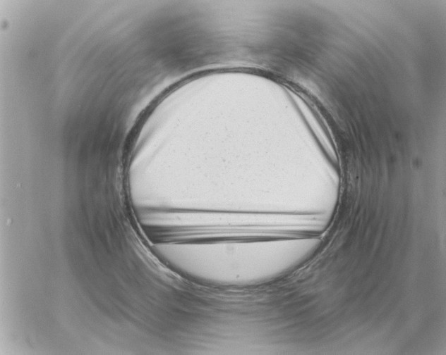 X0000057081460200510071833