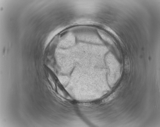 X0000057081461200510071833