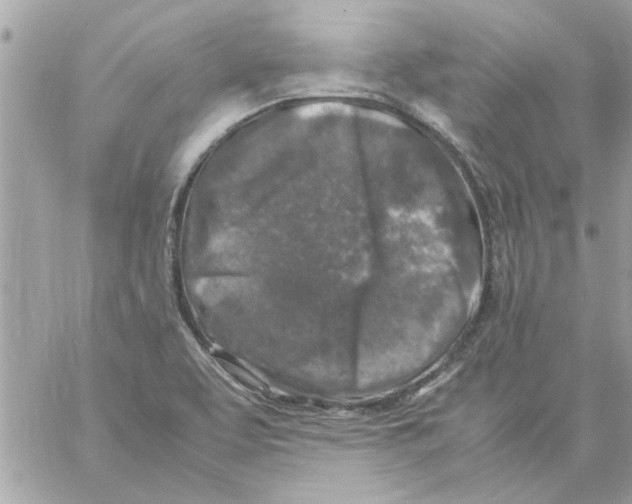 X0000057081463200510071832