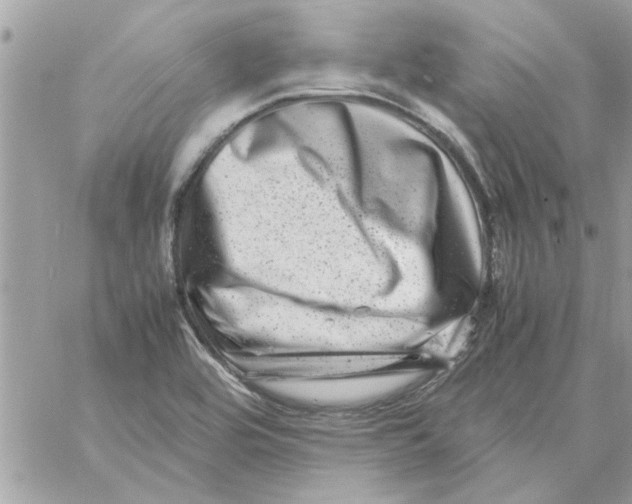 X0000057081464200510071832