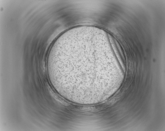 X0000057081466200510071832