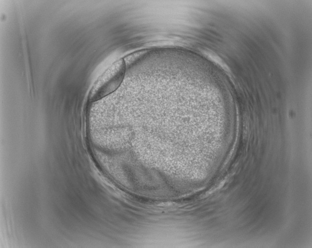 X0000057081467200510071832