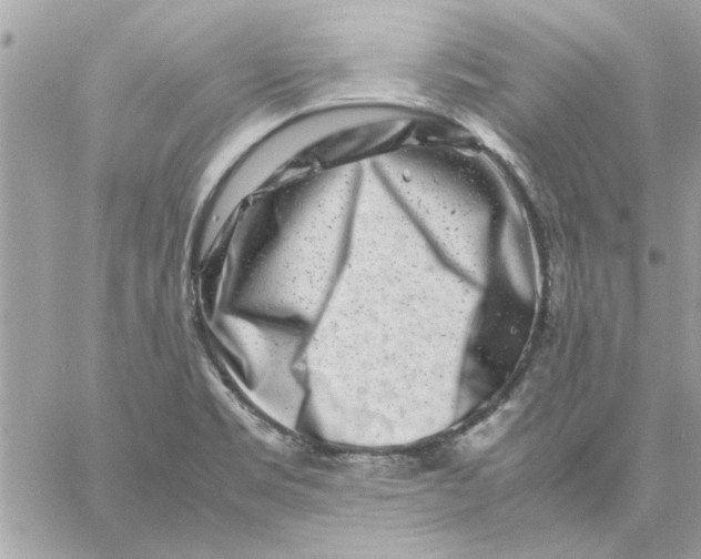 X0000057081469200510071832