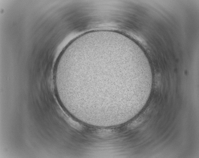 X0000057081470200510071832