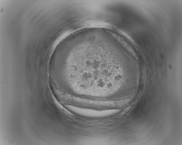 X0000057081471200510071832