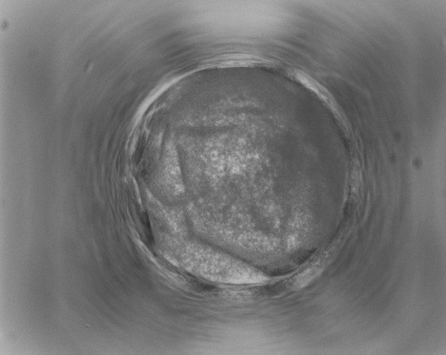 X0000057081473200510071832