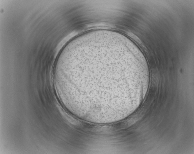 X0000057081474200510071832