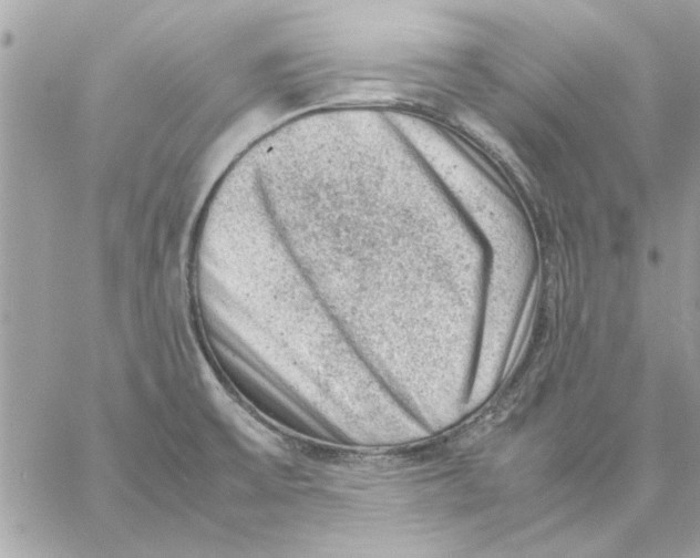 X0000057081475200510071832