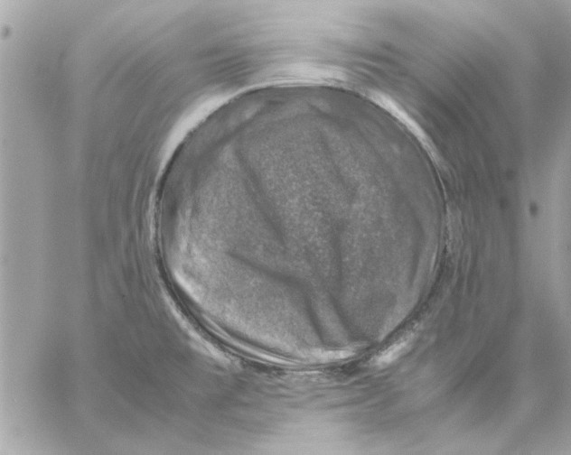 X0000057081477200510071832