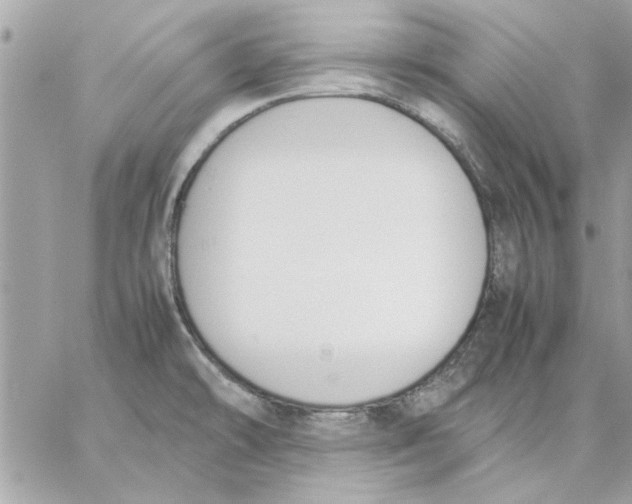 X0000057081478200510071832