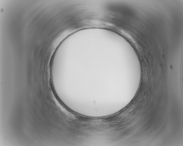 X0000057081479200510071832